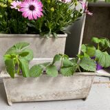 Small industrial planter