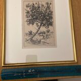Dessin à l’encre  P.Baudier