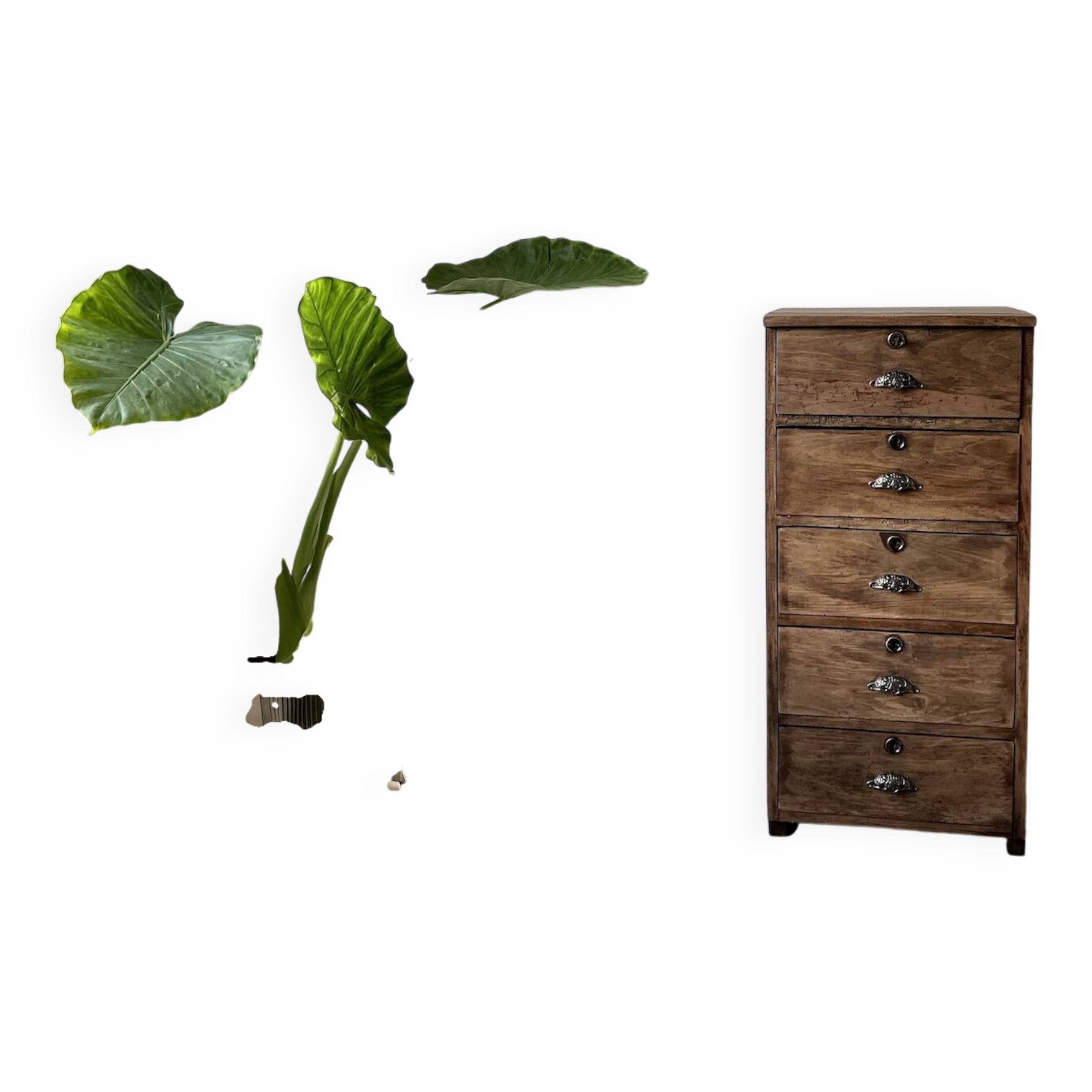 Small old vertical craft cabinet with 5 drawers