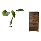 Small old vertical craft cabinet with 5 drawers
