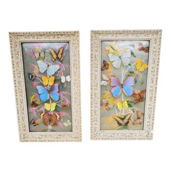 Stuffed butterflies under frames