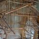 Cage artisanal en bois