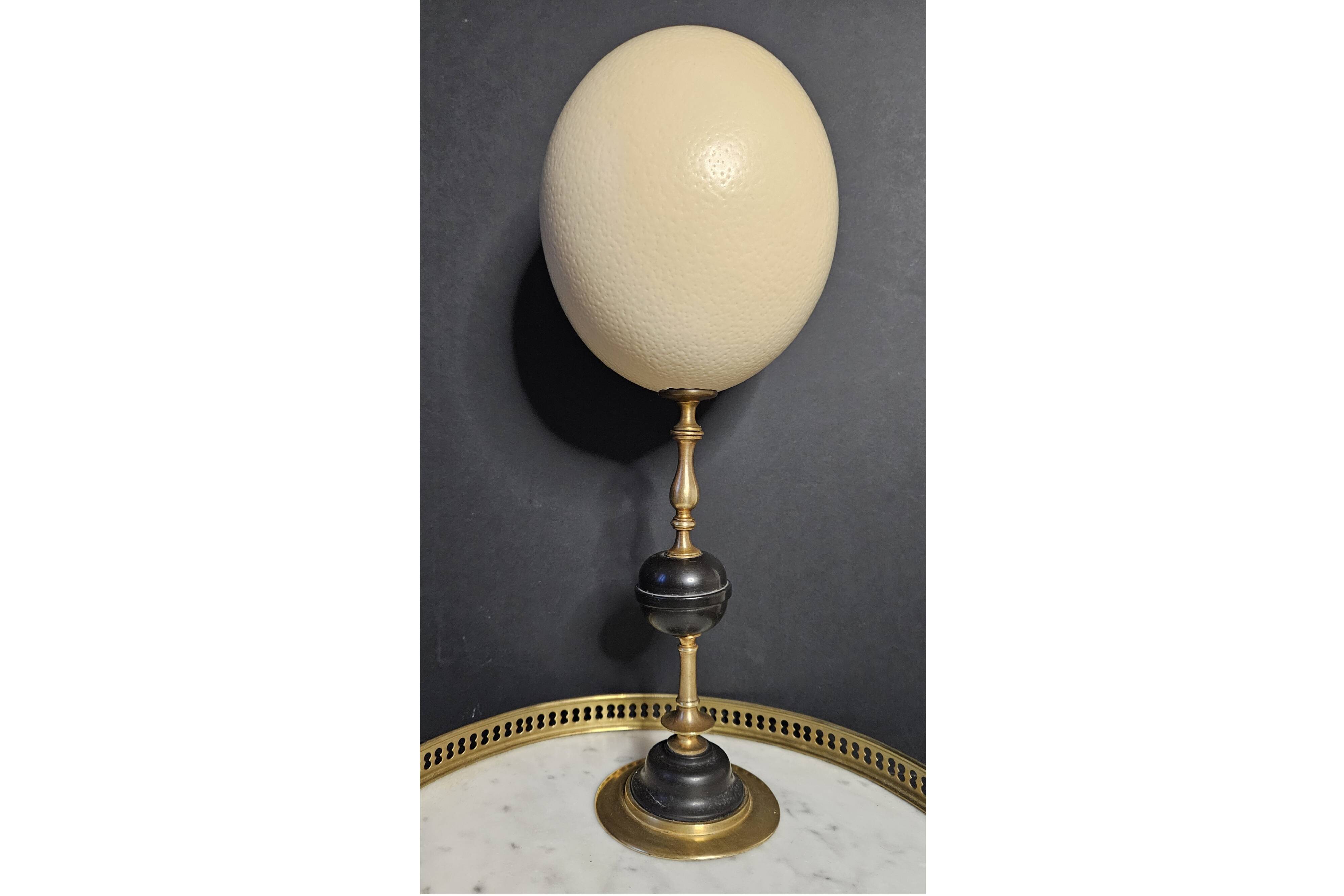 Ostrich Egg, Brass and Black Marble Base (20th century) H: 35 cm | Collection