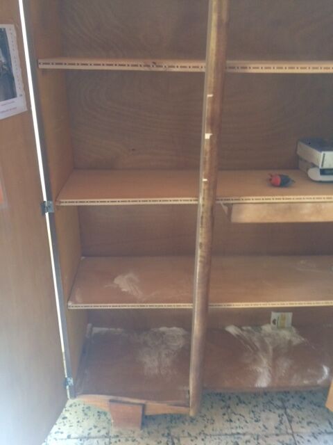 Walnut art deco wardrobe 1930s