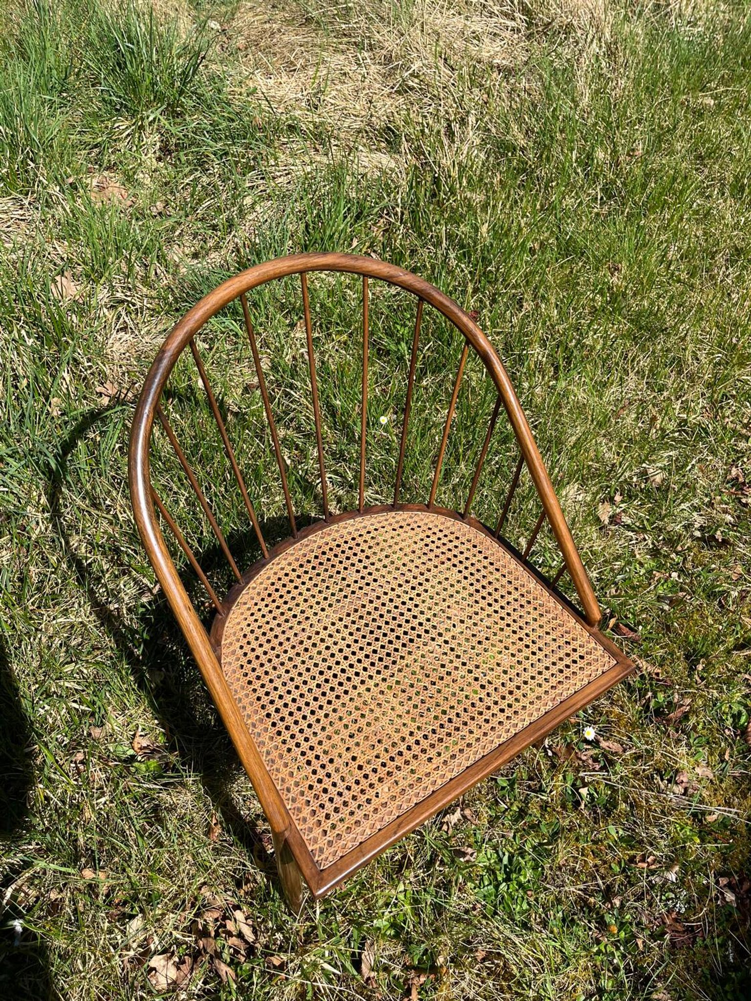 Chaise Curva Joaquim Tenreiro