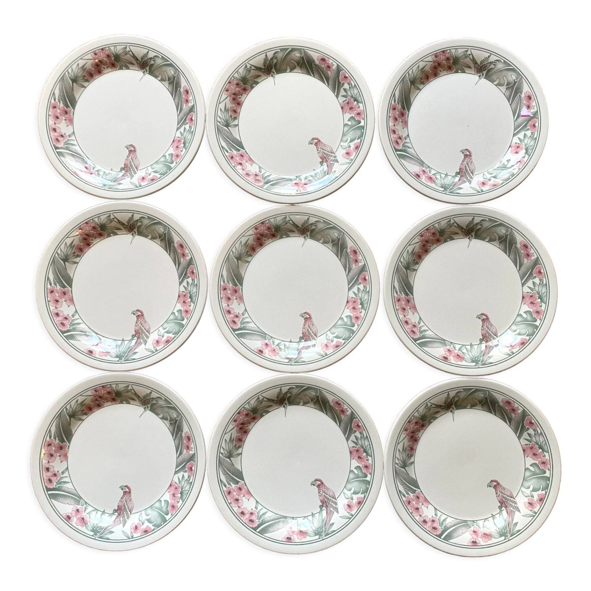 Parrot Tableware Staffordshire England Dessert Plates 1980s