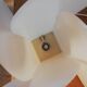Philips Petalo lamp