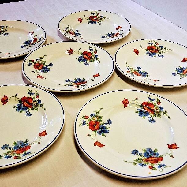 6 flat plates from Salins les Bains, "Poppies" pattern, in very good condition