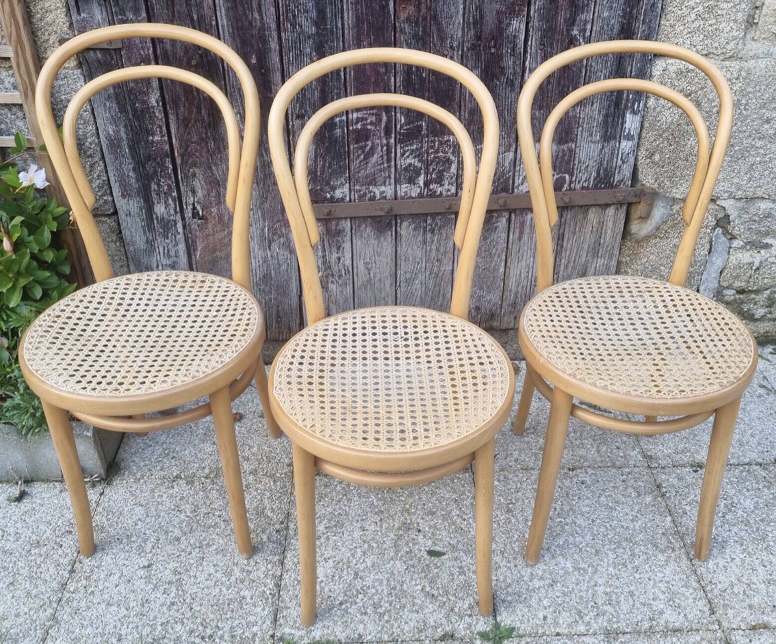 3 chairs published by ZPM Radomsko, model created by Thonet cannées N°14