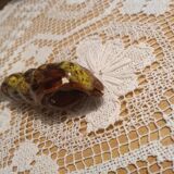 Beurrier Vallauris poisson et son couteau