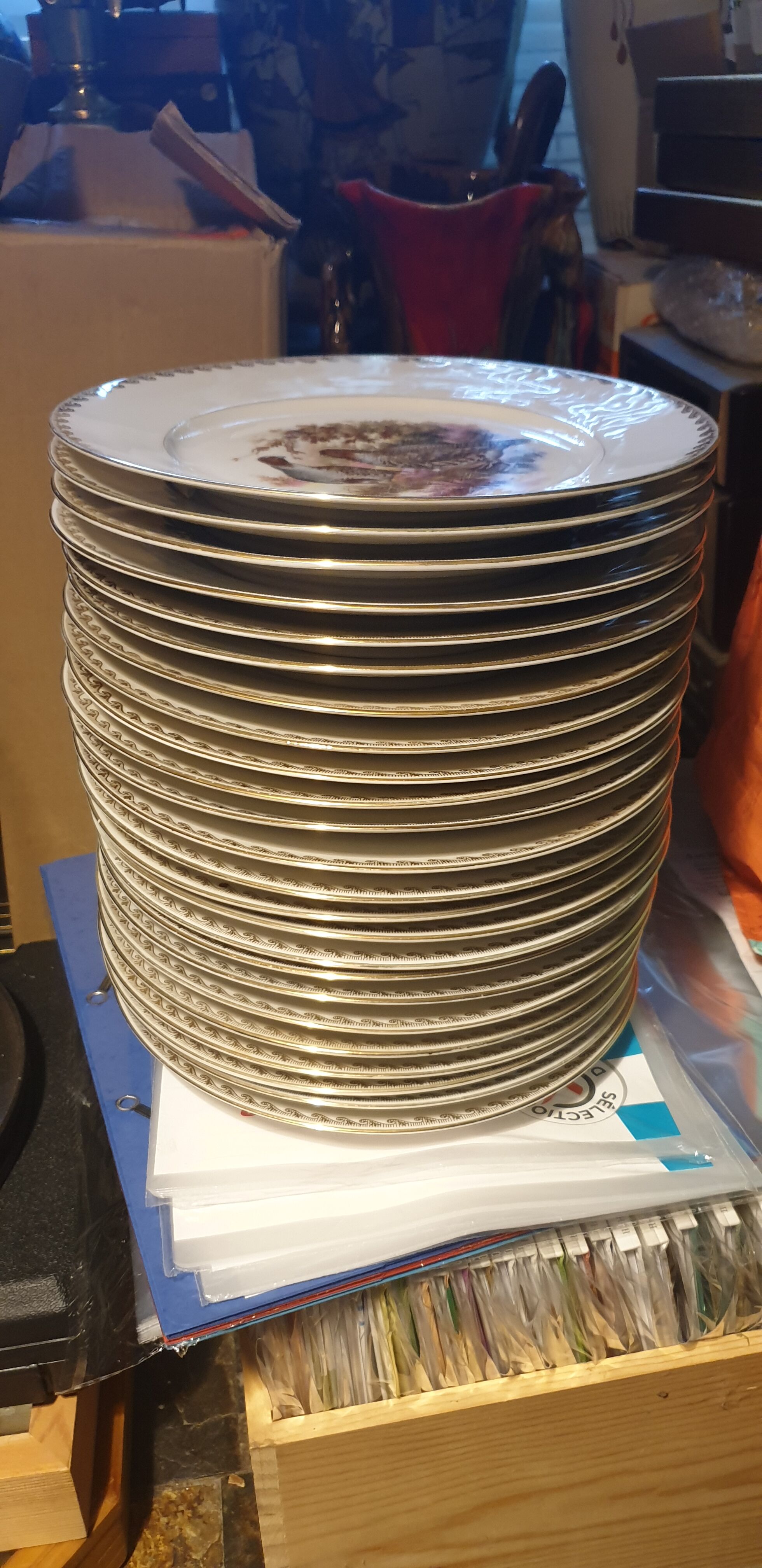 Lot de 24 assiettes plates scènes de gibiers