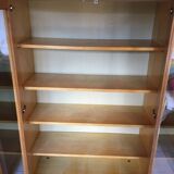 Scandinavian vintage bookcase display case