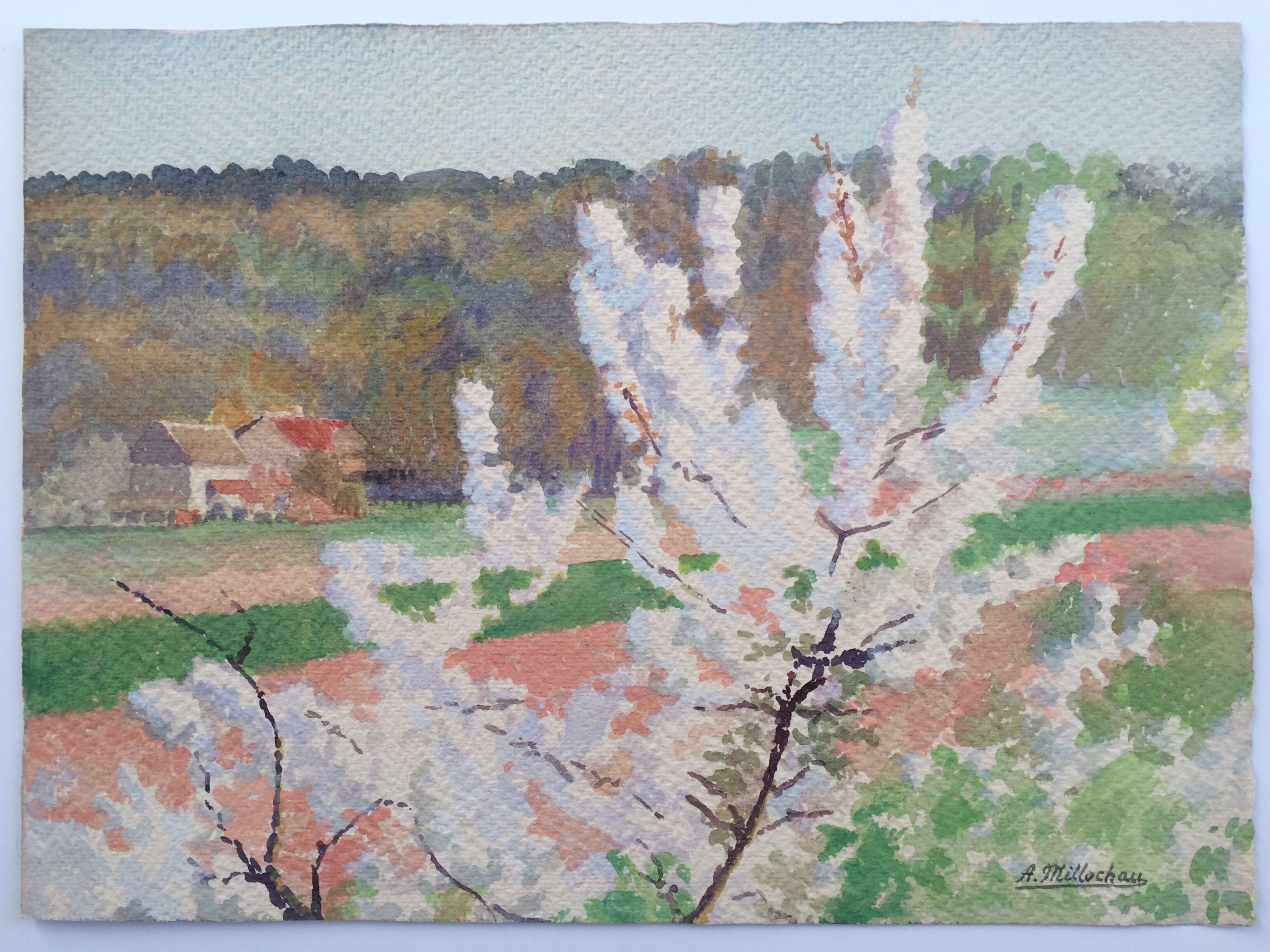 Cherry blossom branch. Gouache on signed paper