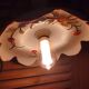 Suspension lampshade corole porcelain fruits