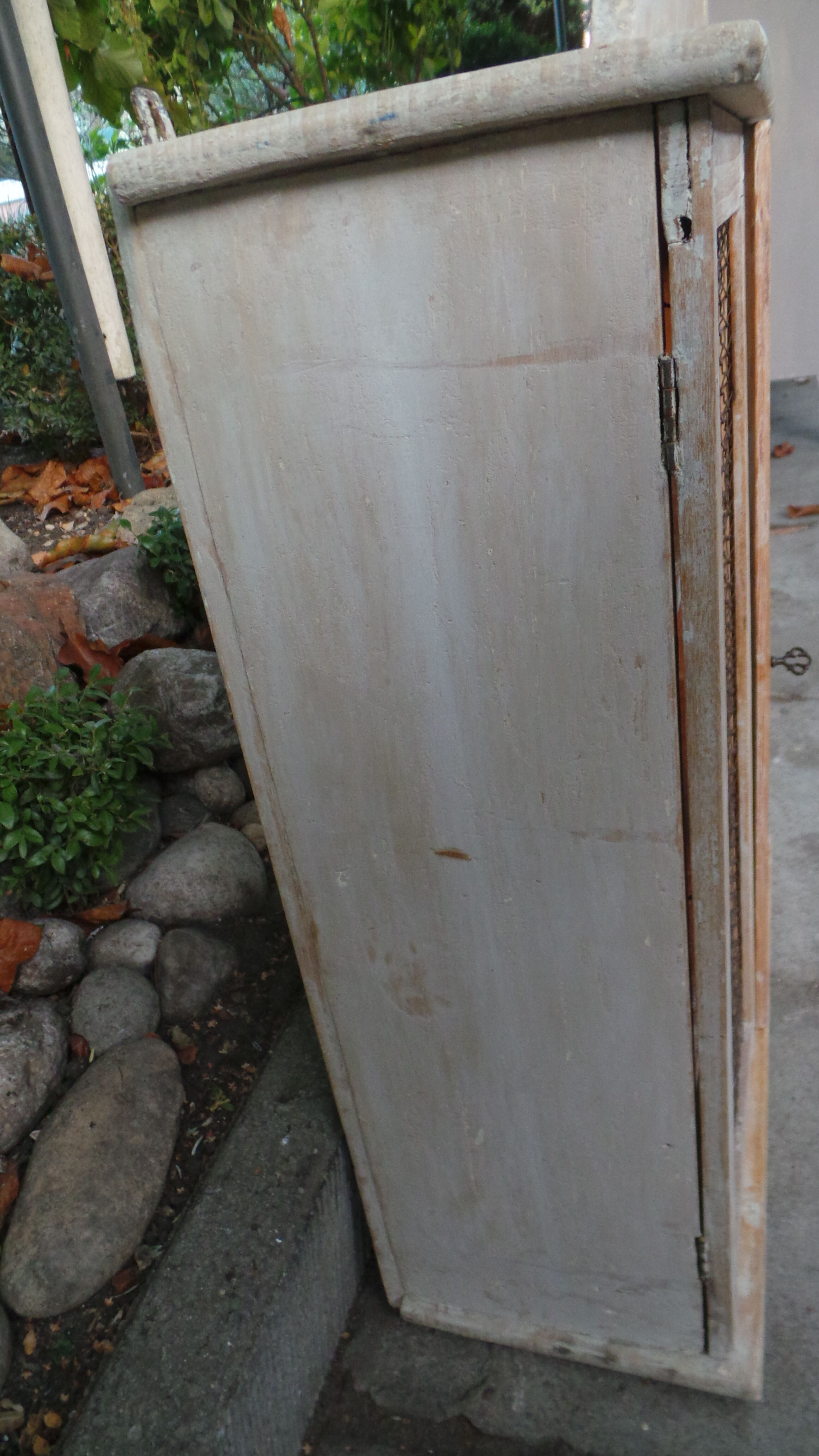Screened medicine cabinet