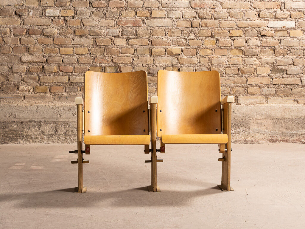 Pair of cinema folding seats