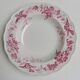 6 hollow plates English earthenware Cauldon England from the great depot E. Bourgeois