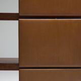 Bookcase 'Adolpho' by Sergio Rodrigues for OCA, Brazil, 1960s