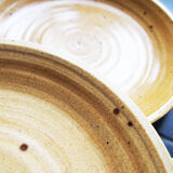 5 stoneware plates