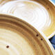 5 stoneware plates
