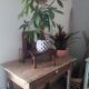 Vintage stool carries plant 70s/80s