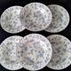 6 Assiettes creuses en porcelaine Anglaise Barratts