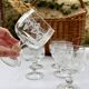 6 Luminarc vine shoot wine glasses