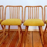 Set of chairs designed by A. Suman, Czechoslovakia, the 60s