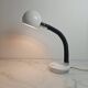 Space Age "Eyeball" Desk Lamp with Flexible Gooseneck, 1970's