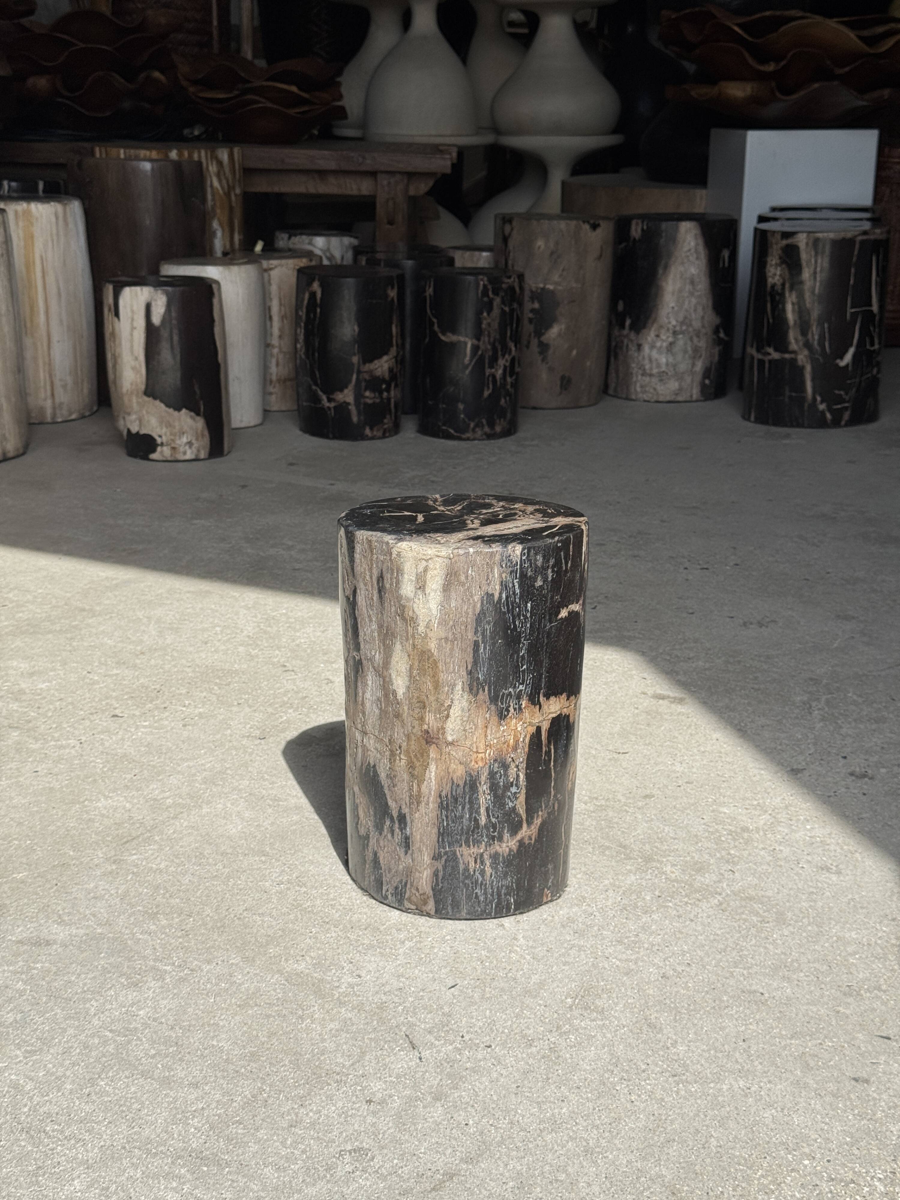 Table d'appoint en bois pétrifié noir
