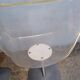 Pair of champagne chairs , Rausch