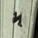 Pairs of shutters