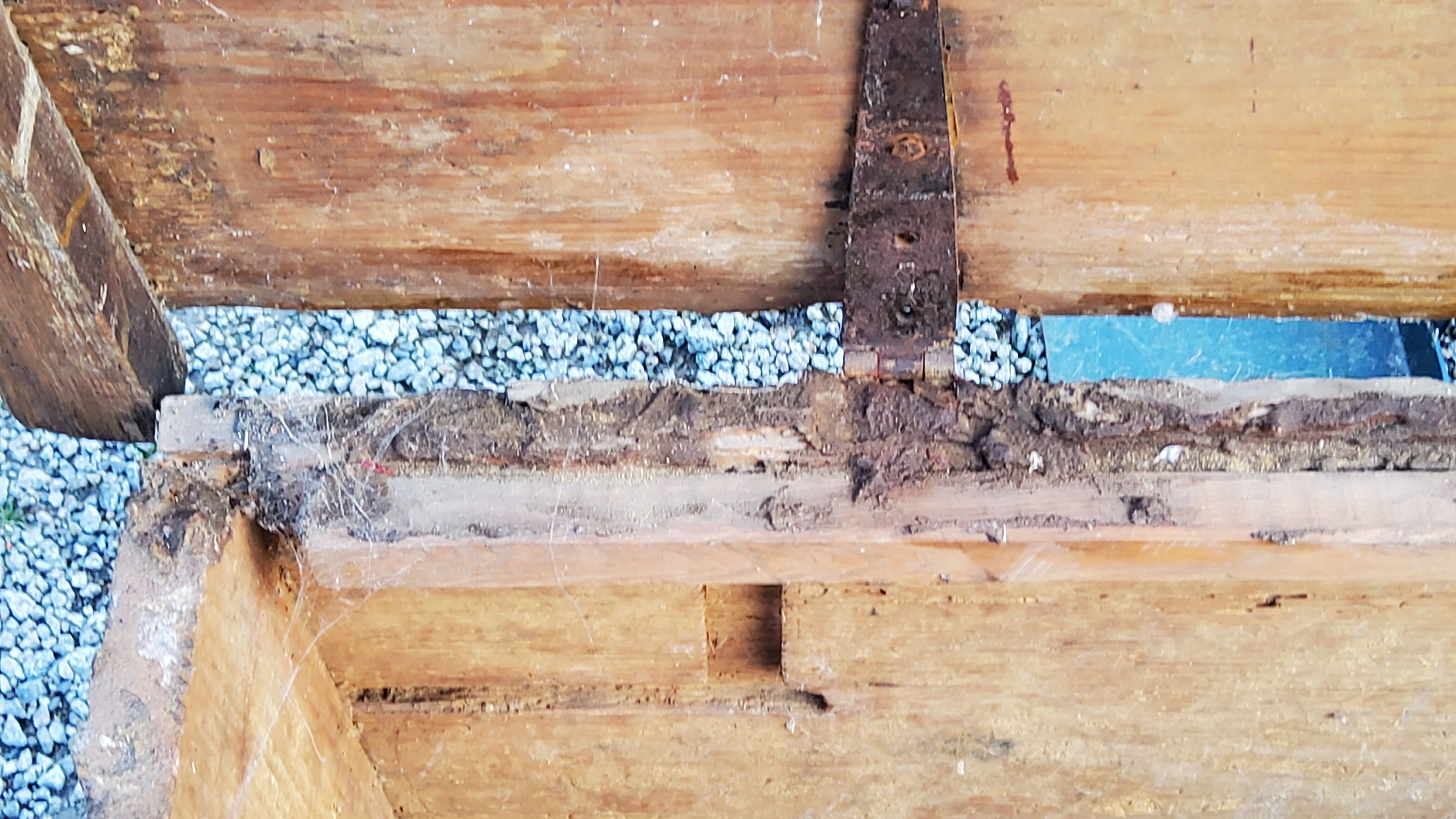 Alsatian polychrome wedding chest eighteenth -nineteenth century