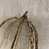 Wrought iron chandelier