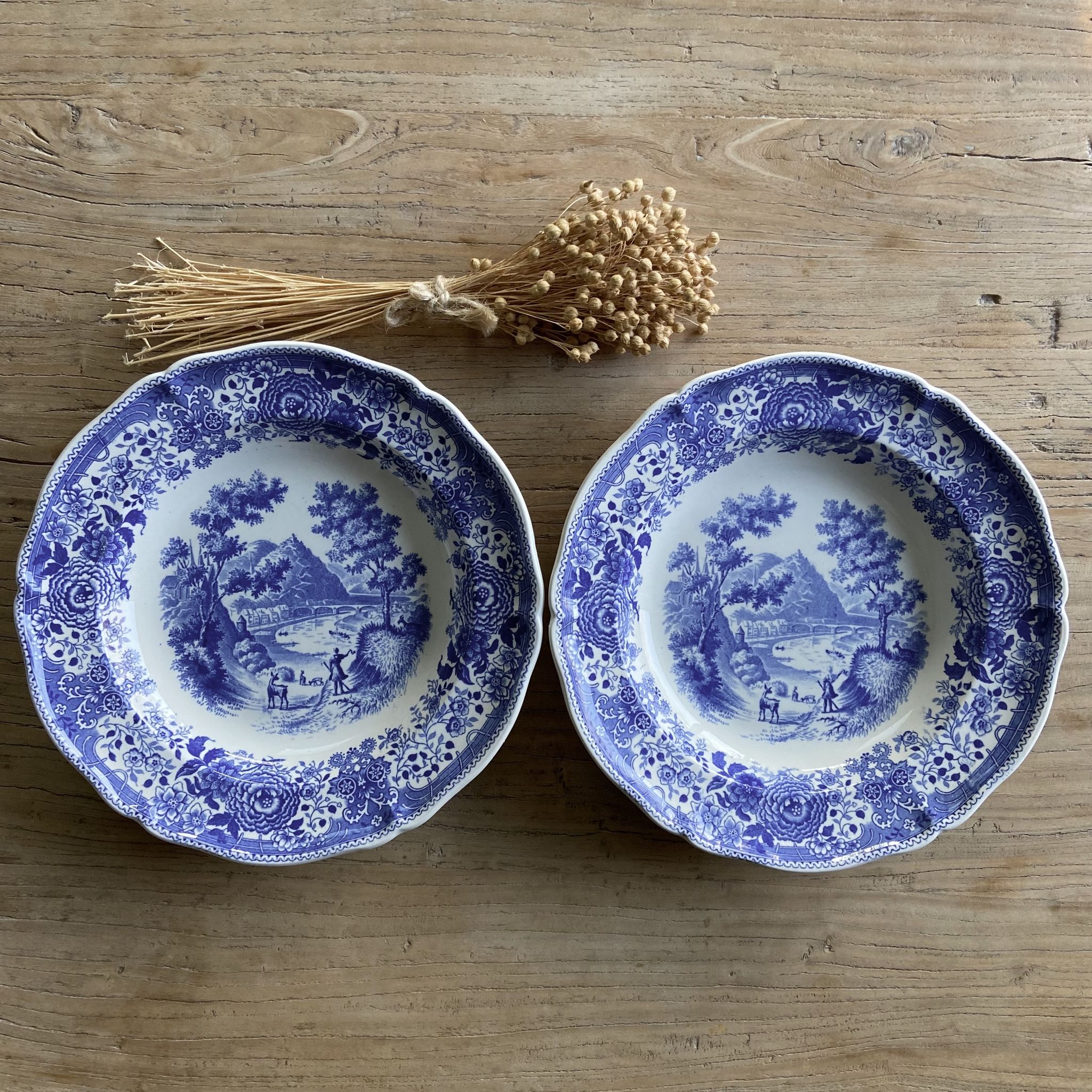 Duo of vintage Villeroy & Boch hollow plates "Burgenland"