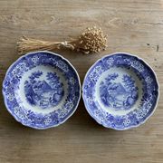 Duo of vintage Villeroy & Boch hollow plates "Burgenland"