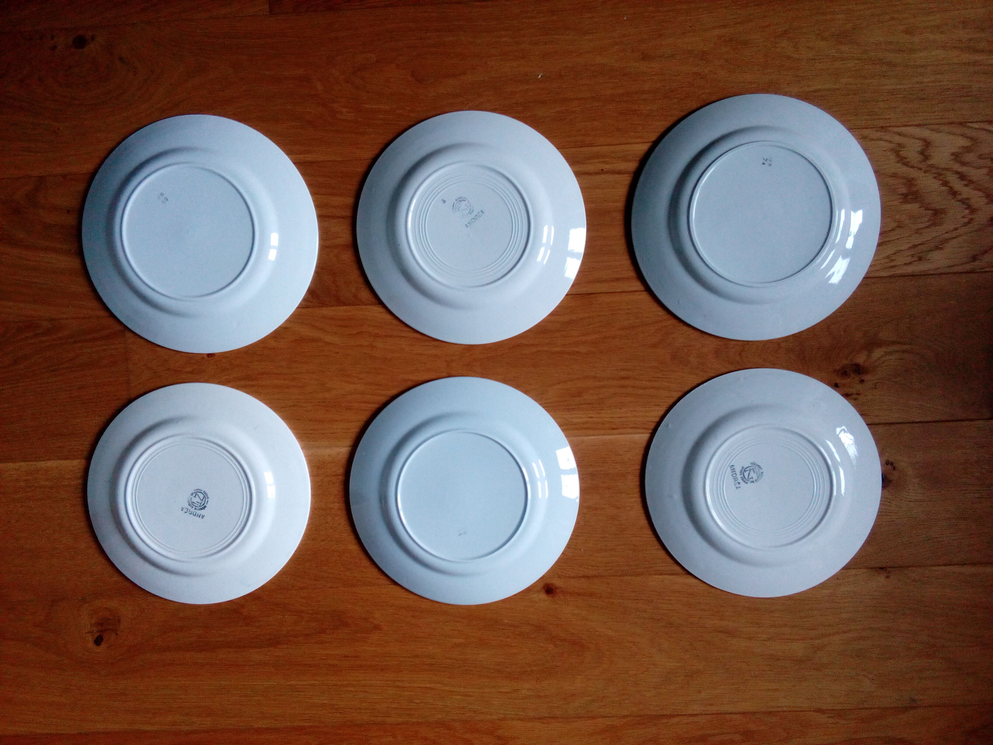 Mismatched flat plates set of 6