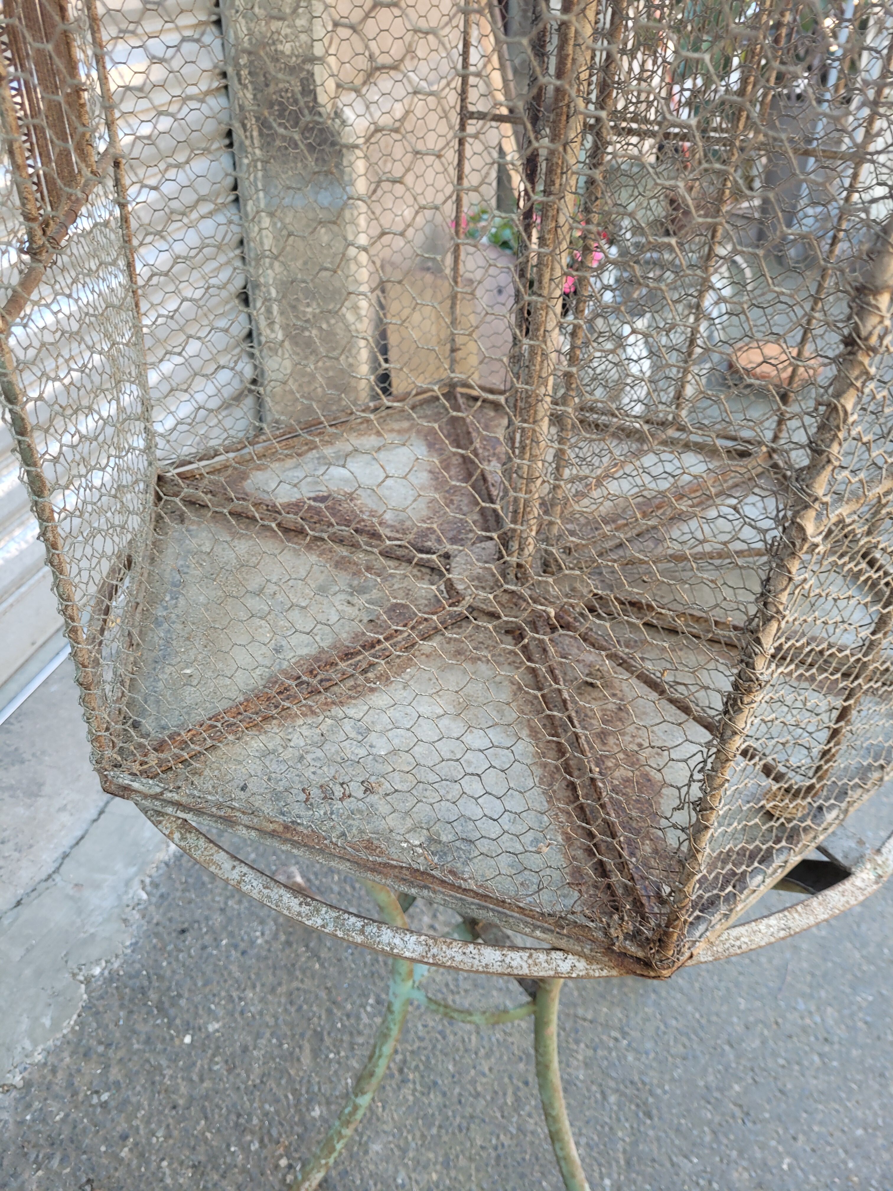 Tabletop bird cage