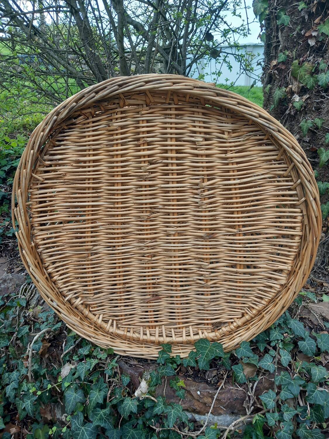 Antique rattan parrot cage 85 cm high