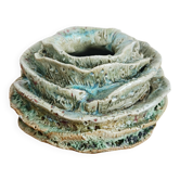 Vase chou
