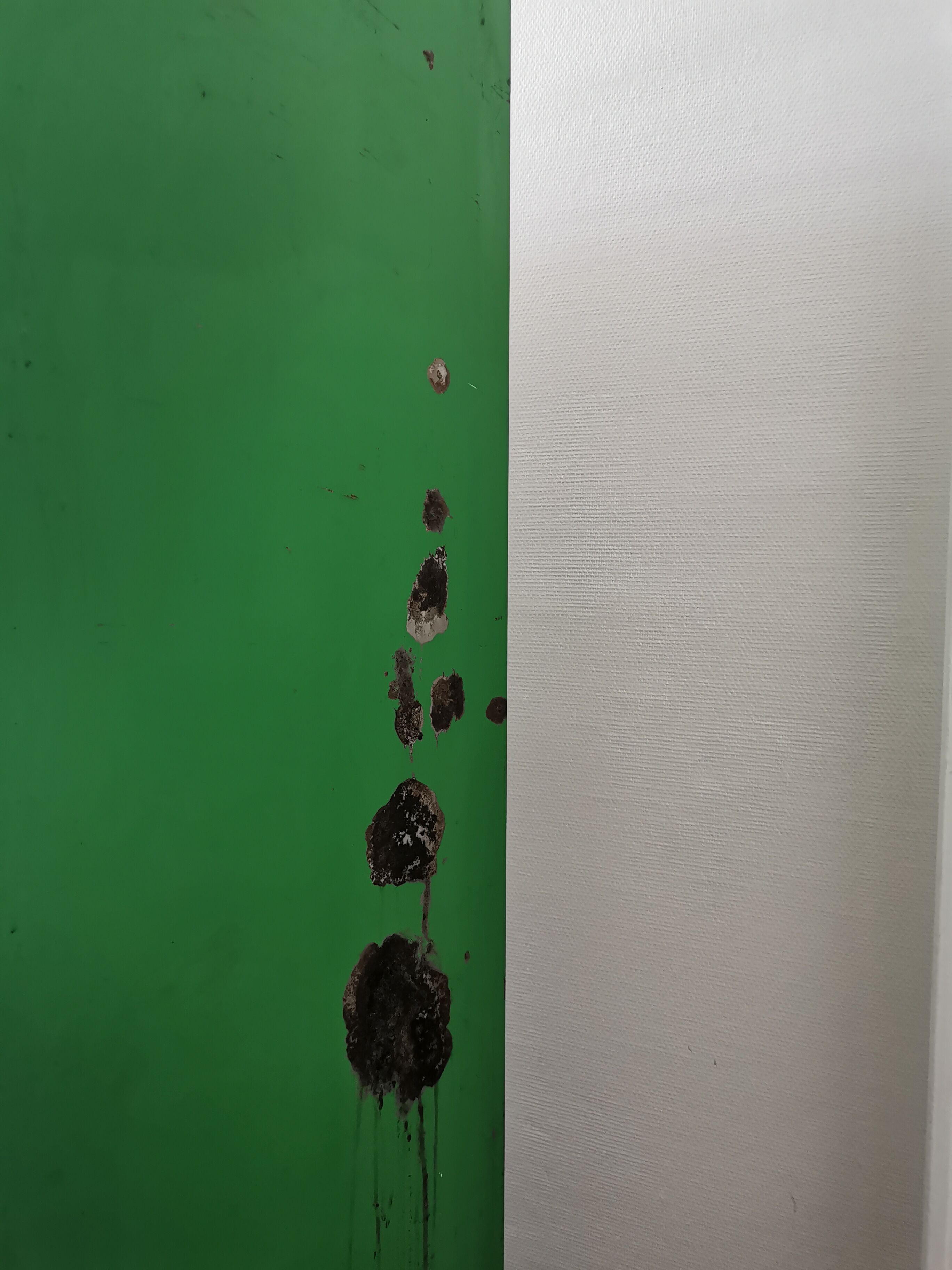 Green industrial Ronéo wardrobe 50s