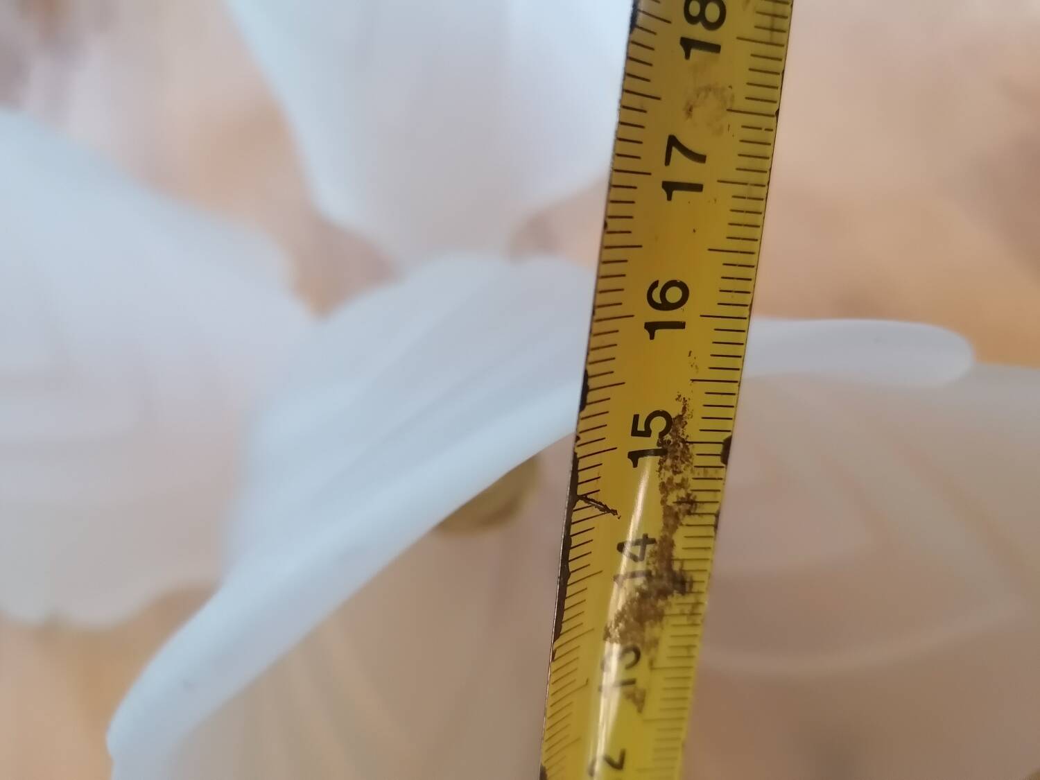 Set of 3 Art Deco tulip hanging lamps