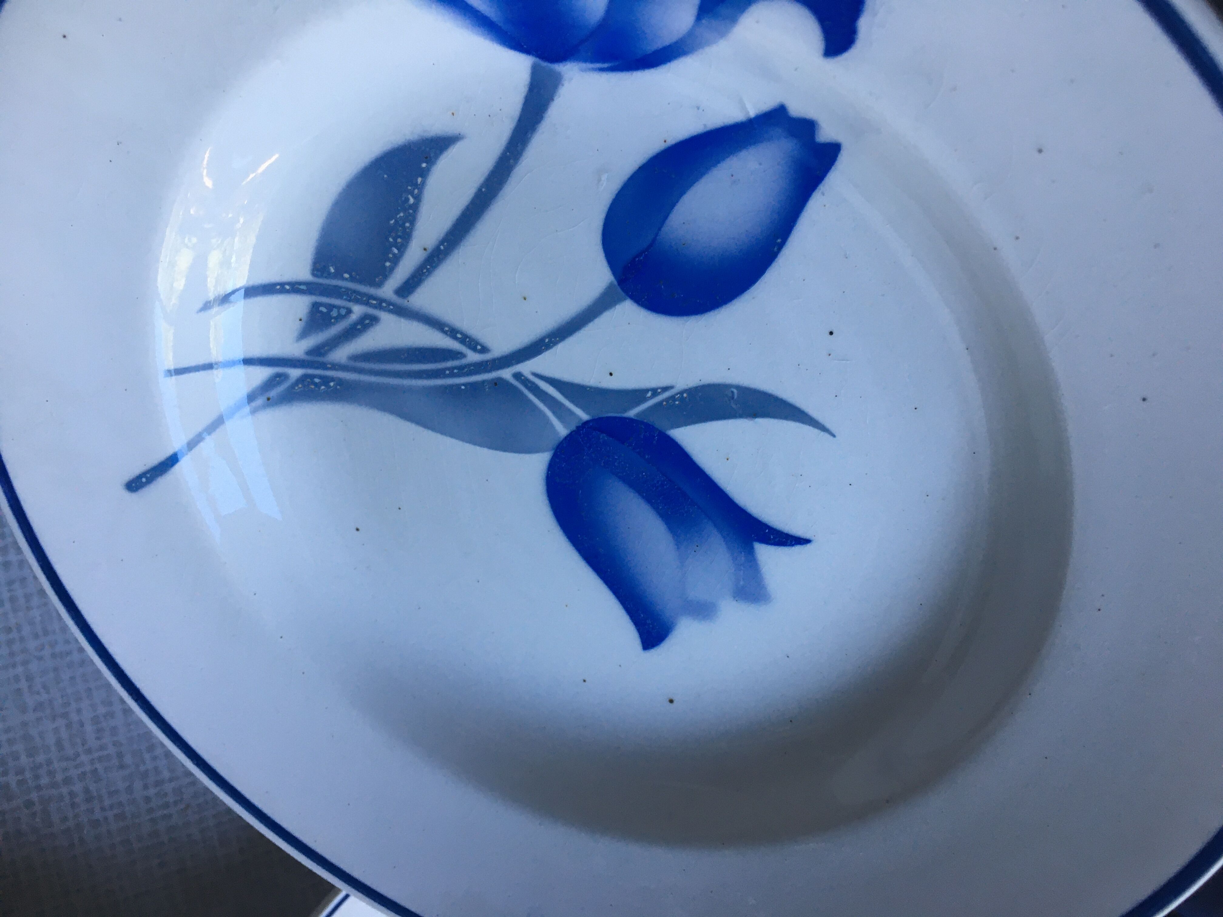 Set of 6 deep plates, Simone Moulin des Loups model