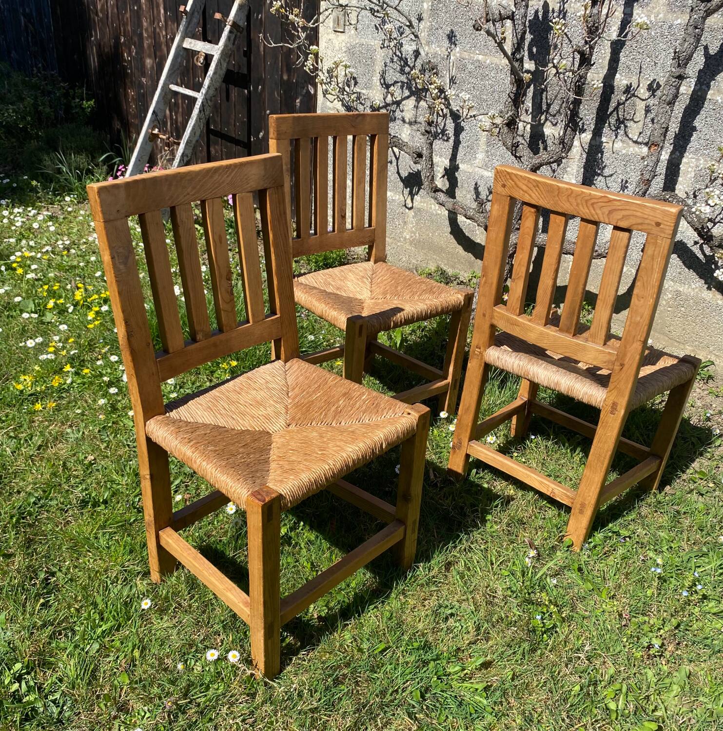 Three brutalist wooden chairs in elm from the 80s.