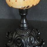 Cabinet of Curiosities conus betulinus shell on base
