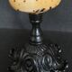 Cabinet of Curiosities conus betulinus shell on base