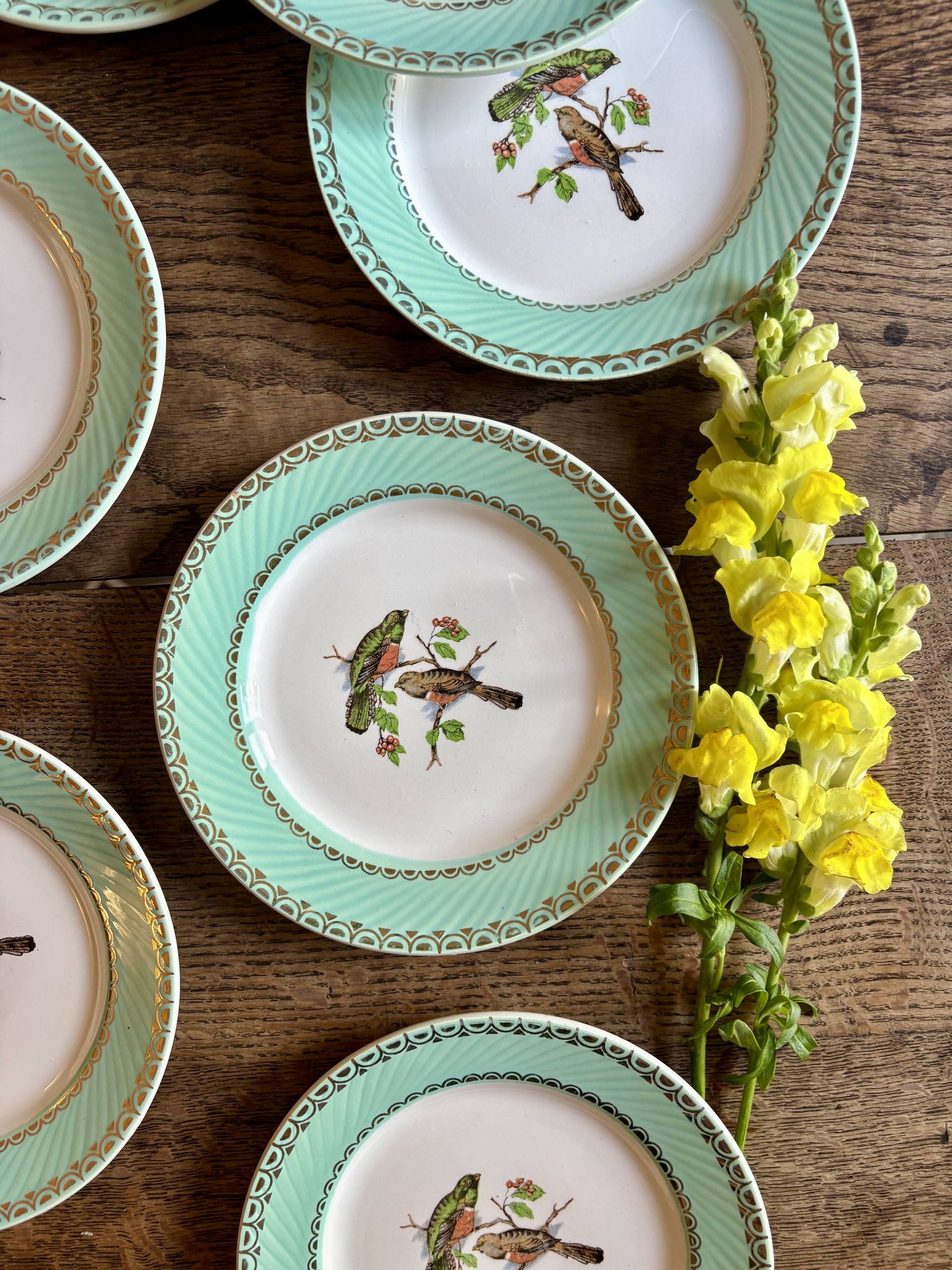 Lot de 8 assiettes à dessert vintage décors d'oiseaux
