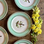 Lot de 8 assiettes à dessert vintage décors d'oiseaux