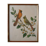 Freund bird frame