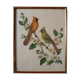 Cadre oiseaux Freund